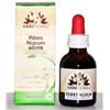 Erbenobili Fitoblasto Ribes Nigrum 50 Ml