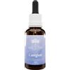 Australian Bush Flower Essences Caregiver 30 Ml
