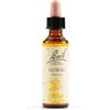 Schwabe Pharma Gorse Bach Orig 20 Ml