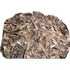 Generic Semi di Plumeria, 100 Pz/borsa Semi di Plumeria Rustico Naturale Leggero Estetico Plumeria Piantare Semi per Giardino Semi di Plumeria