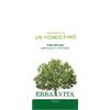 ERBA VITA GROUP SpA Argilla Verde Superventilata Polvere Erba Vita 300g