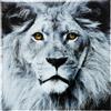 Centro Negozi Quadro Face Lion
