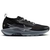 NIKE PEGASUS TRAIL 5 GTX