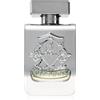 Victory Silver 100 ml