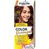 Palette Shampoo Colorante 244 Castano Cioccolato