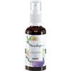 Anwen Olio per Capelli Maracuja (Vetro) 50 ml 50 ml