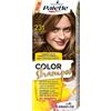 Palette Shampoo Colorante 231 Marrone Chiaro