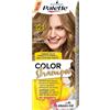 Palette Shampoo Colorante 321 Riflessioni Solari Biondo Medio