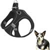 BAOSROY Pettorina Cane,Pettorina Cane Taglia Piccola,Pettorina per Cani,Pettorine Cani,XS, (Nero)