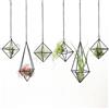 SZRUIZFZ Tillandsia Air Plant Hanger in metallo nero, supporto per piante aeree unico, moderno espositore con catene per decorazione da parete di casa, decorazione geometrica ottaedro Himmeli, regali