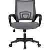 Soberine Sedia da Ufficio Scrivania con Rotelle Girevoli e Braccioli Ergonomica Lombare e con Altezza Regolabile Imbottita e Rete Traspirante Portata 136 kg Grigio Scuro