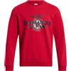 AERONAUTICA MILITARE - Felpa