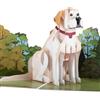 Cardology - Biglietto di auguri per il compleanno del Labrador Retriever, biglietti per la festa del papà, biglietti per la festa della mamma, regali per gli amanti dei cani | Fatto a mano