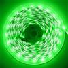 ShineBurky Striscia LED 5 Metri 12V Verde Dimmerabile Tagliabile