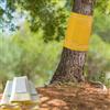 Pafnisoin Anelli di Colla per Alberi da Frutto 25CM × 5M Trappola per Mosche Trappole per Formiche
