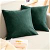 Blumtal Federe Cuscini Divano in Ciniglia, Copricuscini Divano, Federe Cuscino Divano, 2 Pezzi, 60 x 60cm, Verde