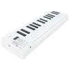Zunate Tastiera per Pianoforte Pieghevole a 61 Tasti, Tastiera Elettrica Ponderata, Tastiera Musicale Digitale per Pianoforte da Viaggio Portatile per Principianti, con Riproduzione
