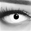 MeralenS Funnylens Lenti a contatto colorate con porta lenti a contatto White Out Bianche Zombie Vampiro morbide comode da indossare e ideali per Halloween o Carnevale senza correzione 1 coppia