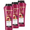 Gliss Kur Gliss Shampoo Colour Perfector (3 flaconi da 250 ml), shampoo per capelli con complesso ialuronico ed estratto di mirtillo, shampoo colorato per capelli colorati, striati e tinti
