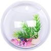 Inception Pro Infinite Acquario da Muro - Vaso - Pesci in Vetro - Piante idroponiche - Design da Parete - Visto in Televisione - da 15 cm - Idea Regalo Originale