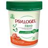 GIULIANI SPA Psyllogel Fibra Integratore Alimentare Arance Rosse Senza Glutine 170g - Nathura