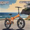 ENGWE EP-2 Boost E-Bike 250W Motore 48V13AH Batteria rimovibile Bicicletta elettrica 20 pollici Fat Tire Bici elettrica pieghevole per tutti i terreni - black