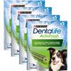 DENTALIFE Purina Dentalife Active Fresh Snack Cane Taglia Medium KIT RISPARMIO 20PZ