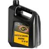 Bergoline Olio diesel Sintetix 5 l - 1 PZ - 65.084.01 - 6508401