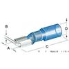 Osculati Faston stagni femmina - 100 PZ Osculati - 14.798.01 - 1479801