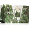 Nesti Dante Dei Colli Fiorentini Cipresso Regenerating 250 g
