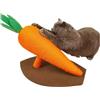 Fofos Tiragraffi Carota M Gioco per Gatti