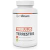 GymBeam Tribulus Terrestris Estratto Potente - un Aiuto a Favore del Testosterone, 1200mg per Dose, Integratore per l'Uomo, 90% di Saponine Steroidee, Aumenta Forza e Prestazioni Atletiche (240 tab)