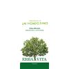 ERBA VITA GROUP SpA Argilla Verde Superventilata Polvere, Erba Vita, 300g, Trattamento Naturale per Pelle e Corpo
