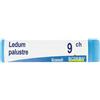 BOIRON Srl Ledum palustre boi*9ch gr 4g - BOIRON - 050835089