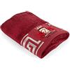 B&Z Luxury Asciugamano da bagno 50x100 cm in Bamboo 500gr | Super Morbido Assorbente Resistente | Asciugamani Spugna Viso Mani Capelli | Ospiti Spa Palestra (Bordeaux, 1 Viso)