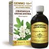 Gemmo 10+ Biancospino Liquido Analcolico 500 Ml