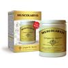 DR.GIORGINI SER-VIS Srl Muscolarvis polvere 500 g - GIORGINI - 987253402