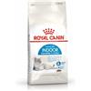 Royal Canin Cat Food Appetito per interni 4 kg