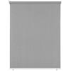 paramondo Tenda da Sole Verticale a Rullo per Esterno Avvolgibile Anti UV Protezione della Privacy Impermeabile Resistente, 100 x 140 cm [LXA] Grigio