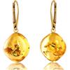 Amber by Mazukna - Orecchini in ambra - Eleganti gioielli in ambra da appendere con raccordo dorato per donna, orecchini a goccia in ambra, gioielli da donna, Argento sterling, Ambra