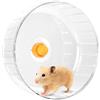 Daelesr Ruota Criceto Silenziosa, 21 cm Dual-Bearing Criceto Esercizio Ruotas Tranquillo Spinning, Ruotas da Corsa per Criceti, Plastica Ruota da Corsa Trasparente per Gerbilli, Roditori, Topi，Orso d'oro