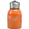 Dvagoent Borraccia Piccola da Borsetta Doppio Strato Thermos Piccolo per Caffè Vuoto Mini Borraccia, con Passante per Il Trasporto, Dimensioni Compatte, 220g, 300ml, Acciaio Inox (Arancione)