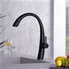 Fortis Magenta extend rubinetto da cucina con 2 tipi di getto, orientabile, bocca estraibile, 6459200MB, Magenta nero opaco [Rubinetteria da Cucina > Rubinetti da Cucina]