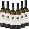 I MAGREDI - Pinot Grigio Friuli Grave DOC (750mlx6)