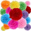 BestoFun 16 pompon colorati in carta velina, colore arancione, rosa, decorazione verde, giallo, blu, decorazione per matrimoni, decorazione da tavolo, compleanno, festa in giardino, carnevale
