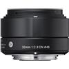 Sigma Obiettivi A 30mm f/2.8 DN Sony E Sony E 30mm f/2.8, excellent