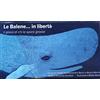 Imagommage Le Balene in libertà