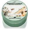 Kringle Candle Sage & Palo Santo 42 g