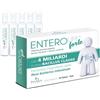 PALADIN PHARMA SpA Paladin Enterolife Fermenti Lattici 4 Miliardi 10 flaconcini
