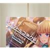 Princess Connect Re: Dive full color Doujinshi B5/20P Order to Saren in Majic